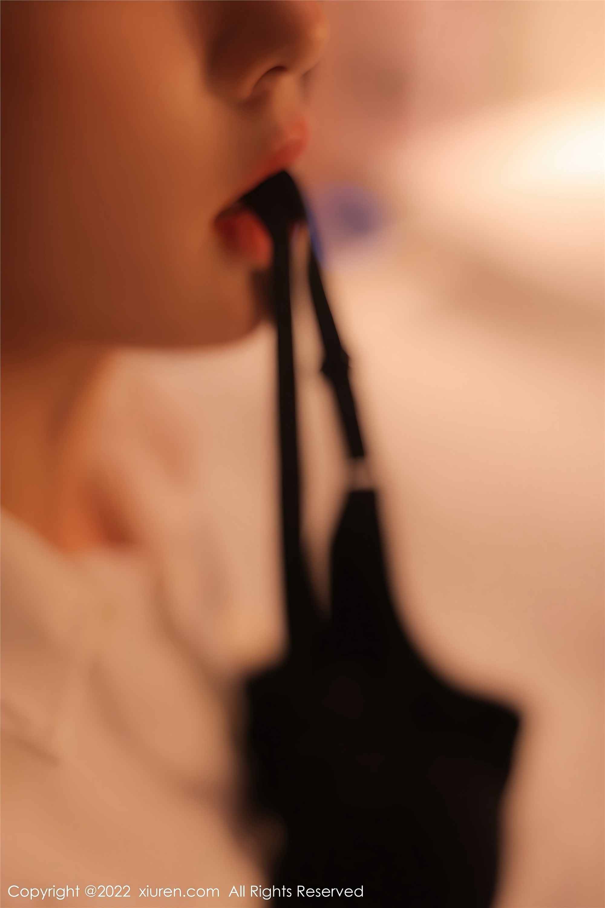 Xiuren秀人网 2022.11.07 NO.5815 美羊羊